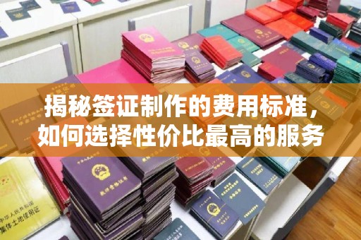 阿拉山口揭秘签证制作的费用标准，如何选择性价比最高的服务？